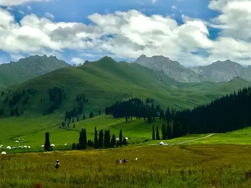 新疆伊犁那拉提空中草原.2019年手机随拍一一之21.