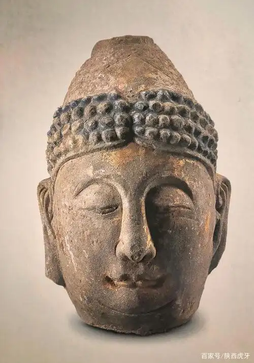 贴金佛头,唐代,砂石,高40厘米