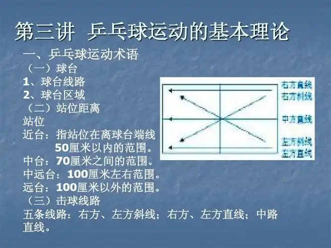 乒乓球运动的理论基础 演示文稿ppt