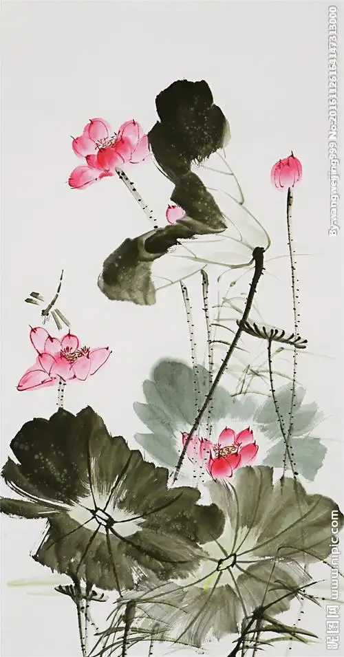 小写意荷花图片大全12张