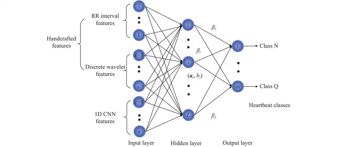 许越凡, 肖文栋, 曹征涛.