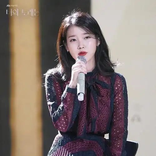 李知恩你的歌曲综艺节目照