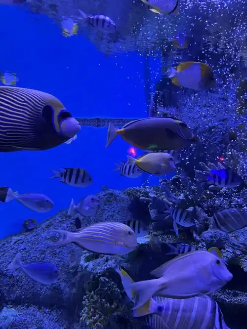 广州旅游好去处快打卡正佳极地海洋世界吧