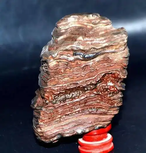 沙漠漆无愧为戈壁石中的皇者