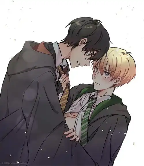 镜像贴来点哈德图谢