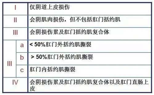 医学笔记会阴撕裂伤的分类看这几张图就够了
