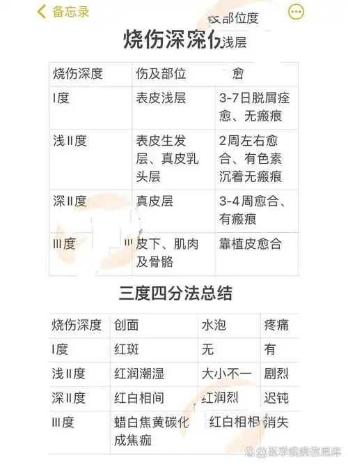 必备:烧伤深度|三度四分法总结【外科】