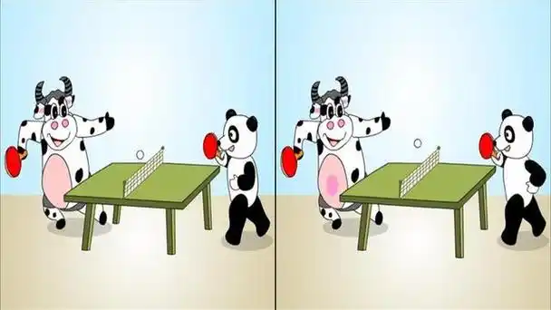 天才的智商测试图有几张脸 - 冷求网