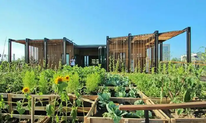 日本涩谷表参道屋顶菜园.jpg