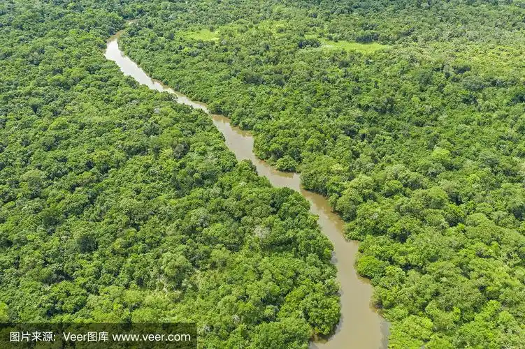 刚果盆地热带雨林中蜿蜒的丛林河
