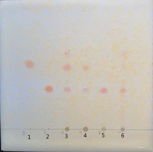 照薄层色谱法(附录0502)试验,吸取上述原阿片碱和别隐品碱对照品溶液