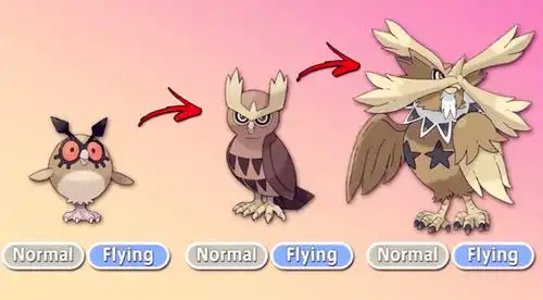猫头夜鹰是家门鸟中的特殊品种,虽然属性上依旧是"一般系 飞行系"