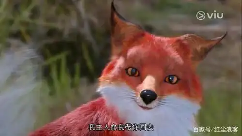 《三生三世枕上书》的九尾红狐 也是日本传说中的"赤狐"?