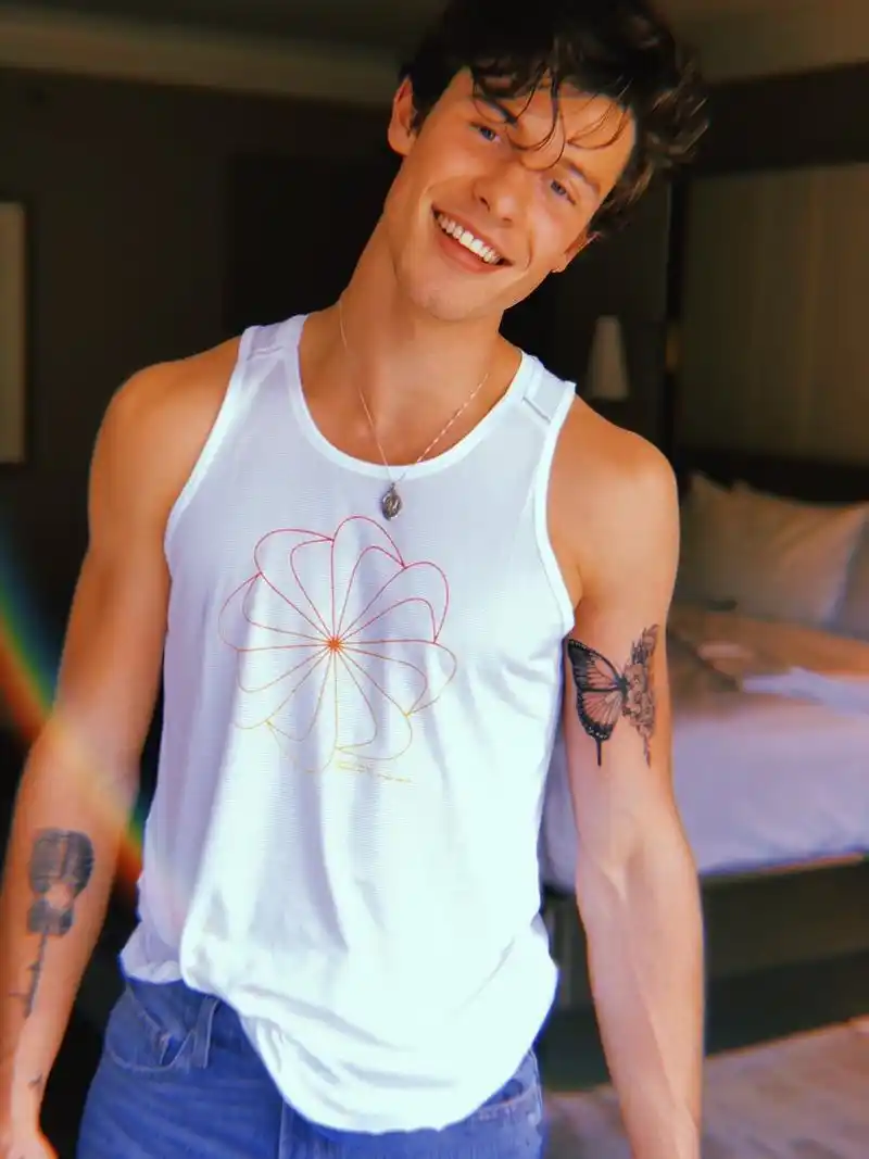 萌德shawn mendes纹上了粉丝给他设计的蝴蝶纹身这也是他本人的第七个