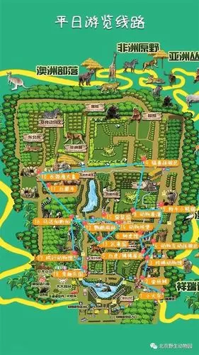 北京野生动物园—大兴野生动物园游览攻略,建议收藏
