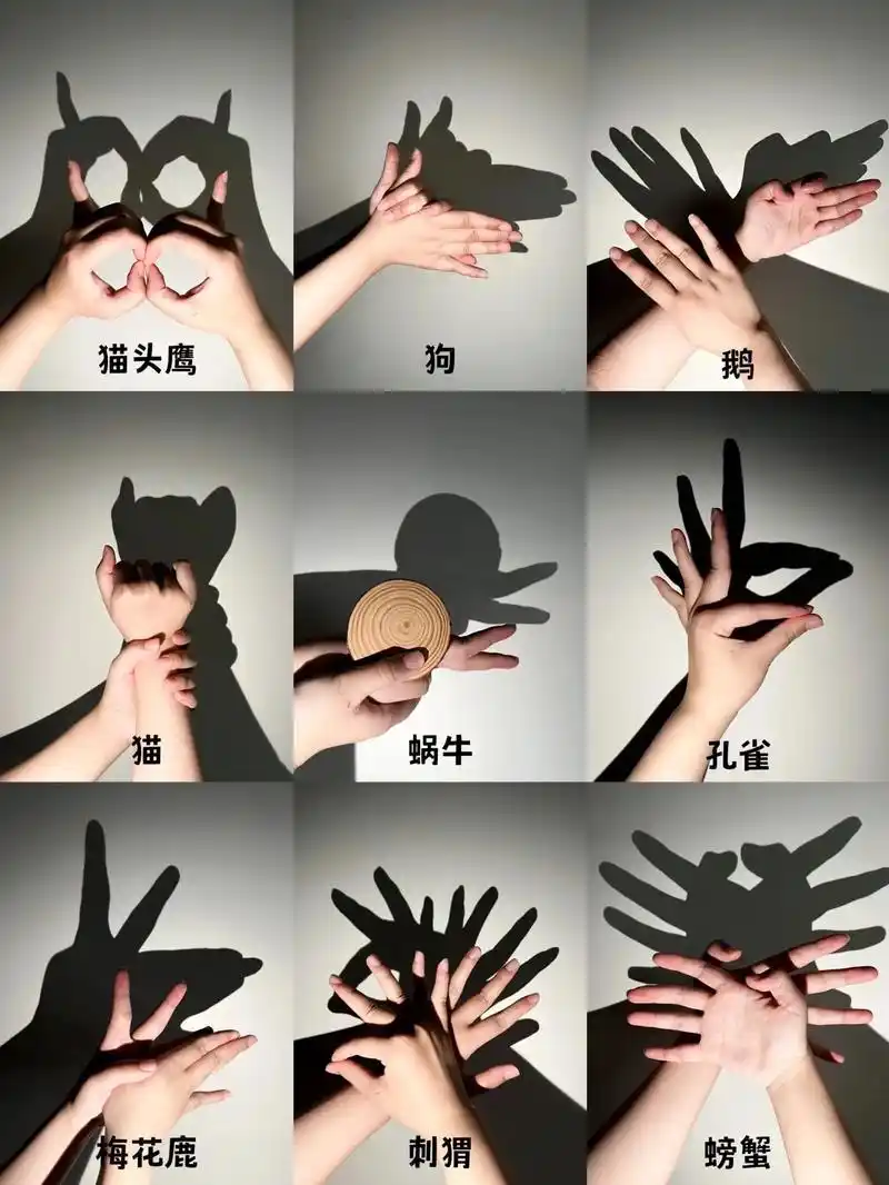 趣味儿童手影游戏