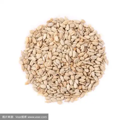 一束白色的葵花籽.