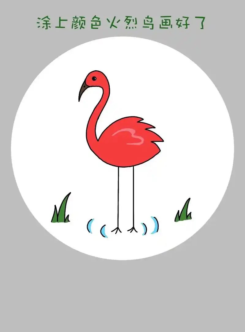 火烈鸟简笔画教程来啦!
