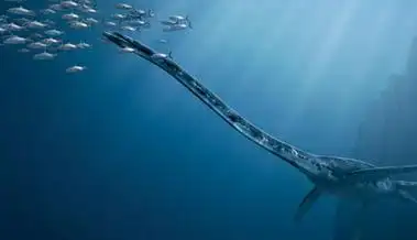 p>蛇颈龙是已灭绝的蛇颈龙属海生爬行类的统称,属双孔亚纲鳍龙目,是