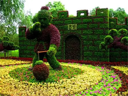 五色草是什么植物五色草花坛造型图片