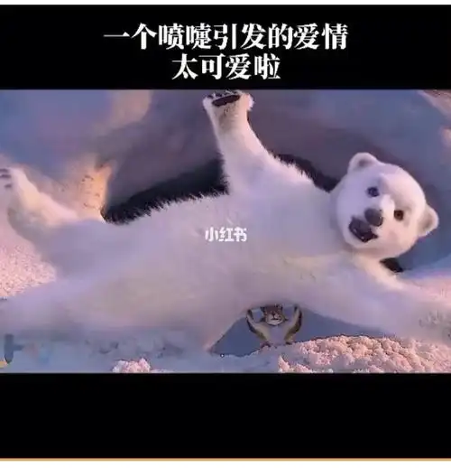 大宝贝我接住你了