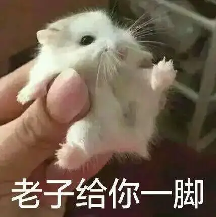 偷次一千群员噎住 - 斗图表情包 - 斗图神器 - adoutu.com