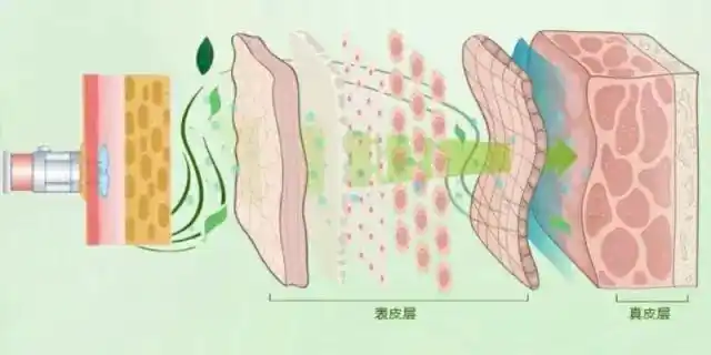 1952年一位知名的法国医生麦克·皮斯特(michel pistor)提出了"中胚层