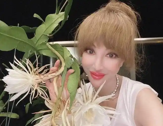 担心!香港名媛薛芷伦遭遇车祸,躺在担架上双眼无神脖子不 .