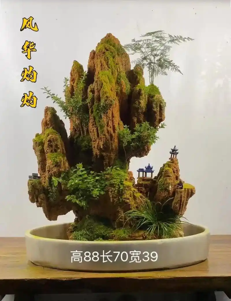 吸水石 #现场实拍 #上水石盆景 山高自有风景在,心宽便会 - 抖音