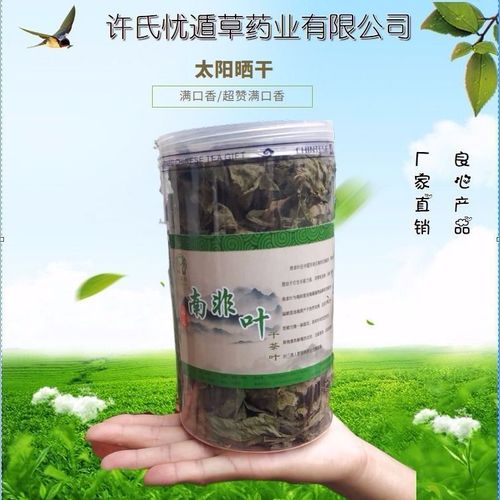 南非叶干叶茶 南非叶树苗食用正宗马来西亚将军叶 南非叶的功效
