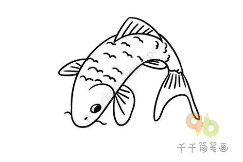 鲤鱼图片大全简笔画 鲤鱼图片大全简笔画涂色