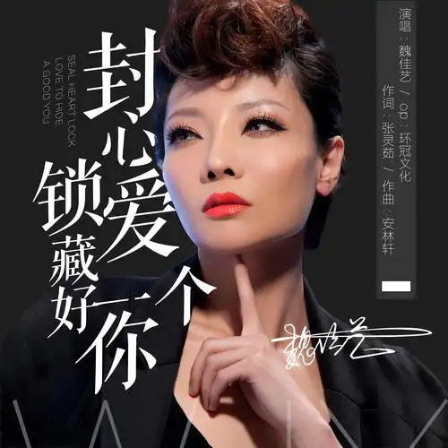 魏佳艺:《封心锁爱藏好一个你》【伤感版】