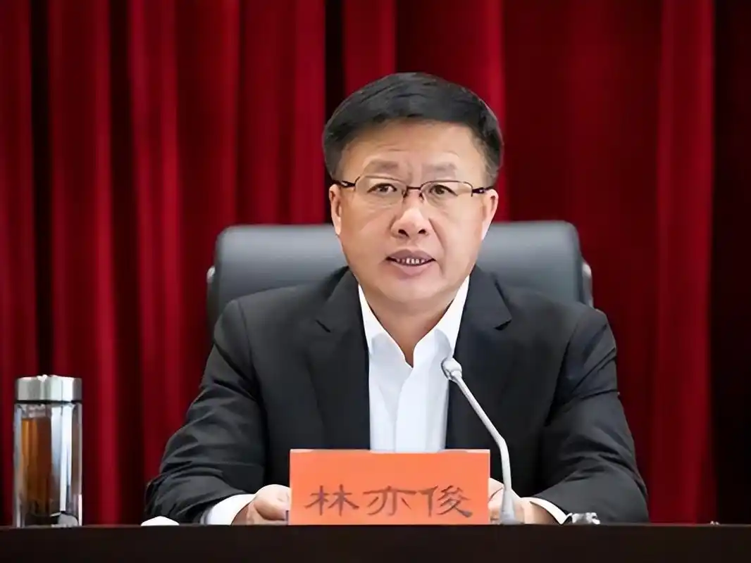 回顾:浙江"大虎"林亦俊,胆大妄为,被捕后千方百计对抗审查?