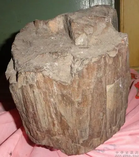 伊春木化石【又称为树化玉】重9000克【18斤】镇宅祈福,玉雕.