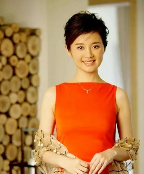 许戈辉:巅峰时离开央视,嫁二婚富商丁健,与丈夫前妻亲如姐妹