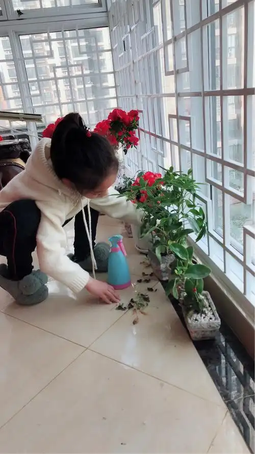 实验小学二六班陈思含《种花》