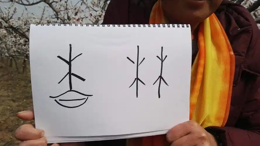 "杏"字的甲骨文,一种能吃的水果