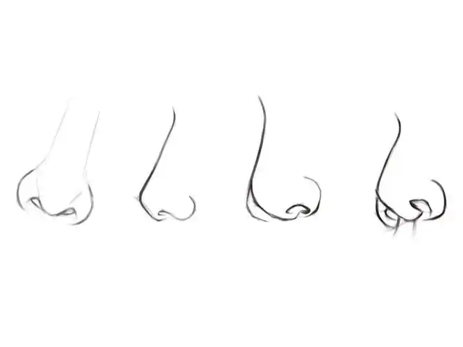 不同角度鼻子线稿练习