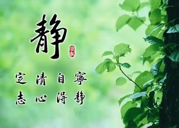 什么是道家养生?