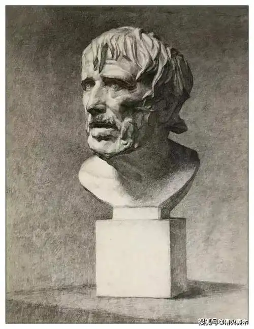 中央美术学院留校素描石膏像精选清央美术教育