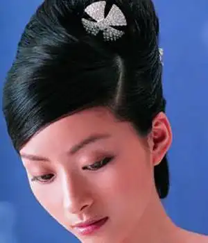 高耸的优雅云髻