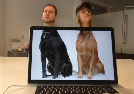 人面兽身照"嫁接"头部与动物身体 萌态表情令人捧腹(图)