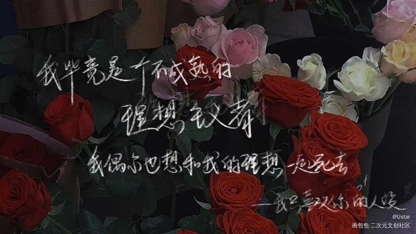 原耽语录我要上首推字体设计见字如晤板写我毕竟是一个不成熟的理想