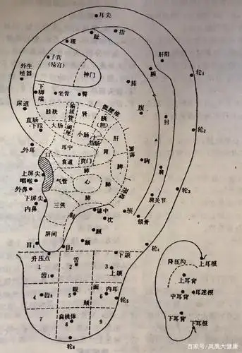 中医传统耳针疗法!三个穴位促减肥!