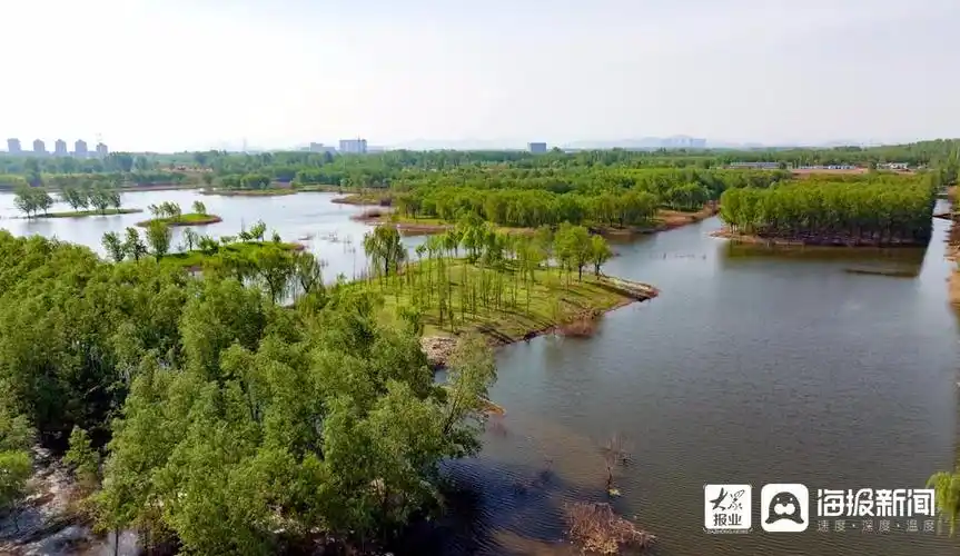 【绿满齐鲁 美丽山东】小清河源头睦里湿地公园