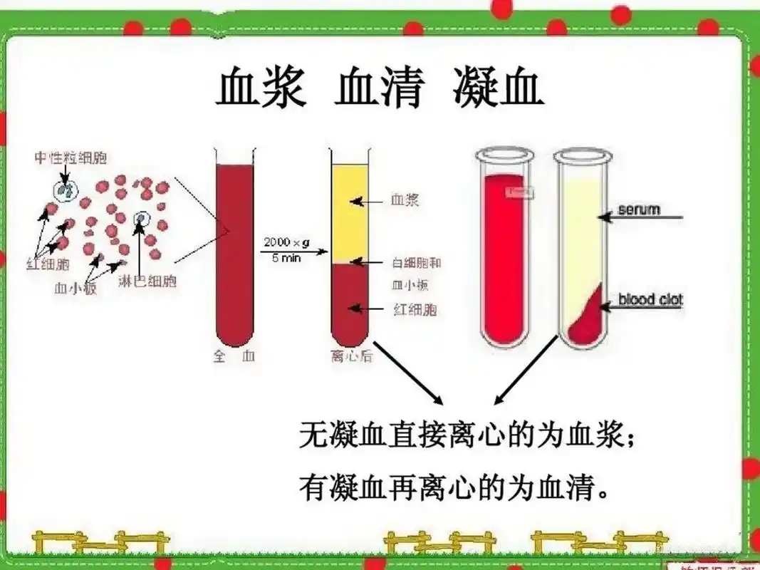 血清的正确保存及解冻方式 一,什么是血清 指血液凝固后,在血浆中除去