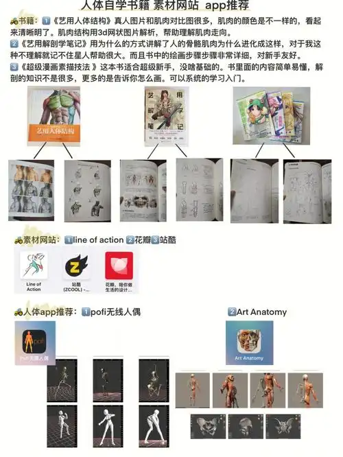 人体自学书籍素材网站app推荐