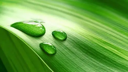 1080p支持蓝光3d 优派投影机pjd7822hdl评测