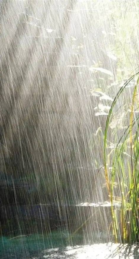 下雨天雨滴高清图片