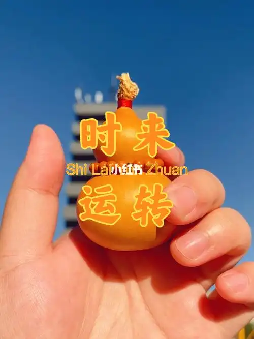 时来运转 | 好运连连✨